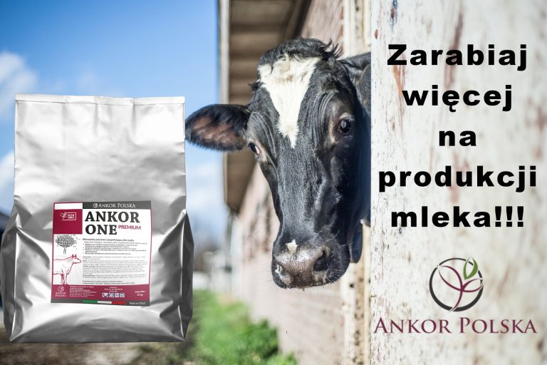Read more about the article Zarabiaj więcej na produkcji mleka!