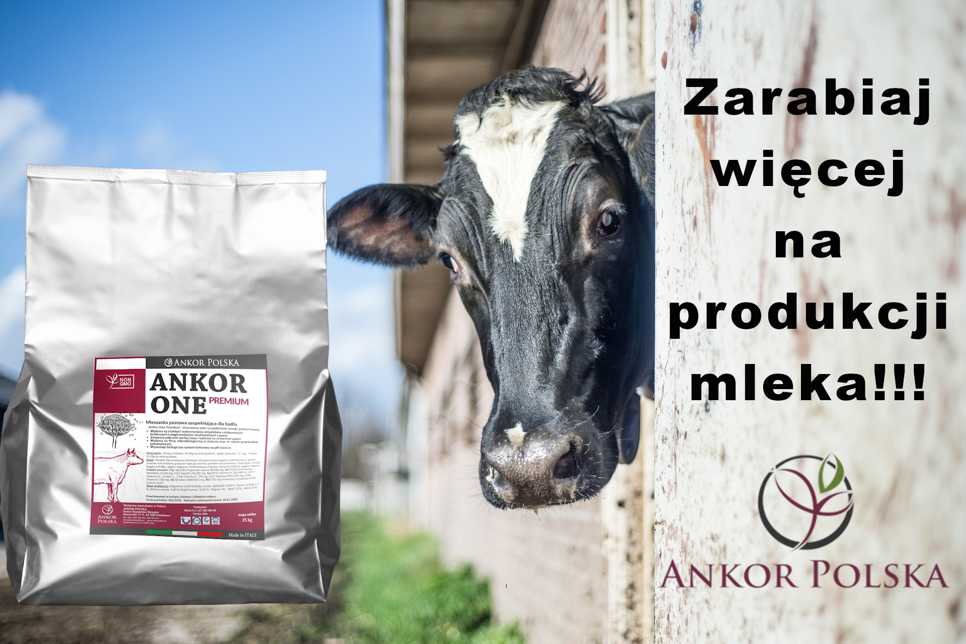 You are currently viewing Zarabiaj więcej na produkcji mleka!