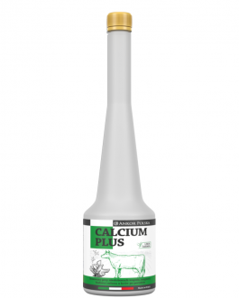 Calcium Plus – wapno dla krów