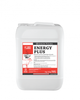 Energy Plus – energia dla krów