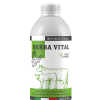 herba vital