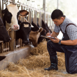 Zwiększ jakość i wydajność swojego stada i zobacz ile możesz zaoszczędzić…